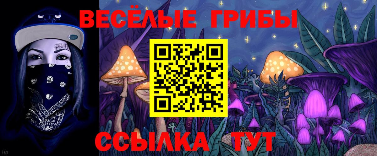 Галлюциногенные грибы Magic Shrooms  Вход с VPN  Ханты-Мансийск  Псилоцибиновые грибы Psilocybine cubensis 